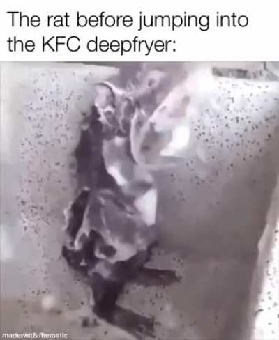 Rat is cleaner than food