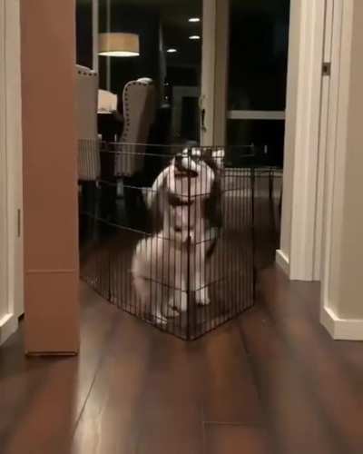 Watch and learn kid