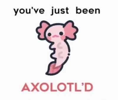 Get Axolotl’d