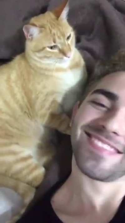 Trying to kiss a cat