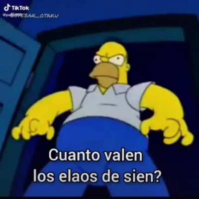 Cuánto valen los elaos de sien