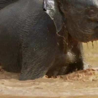 Mud bath!