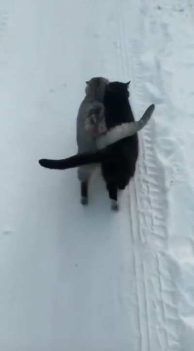 Best friend for life…
