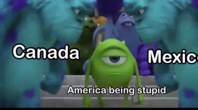 Stop acting stupid