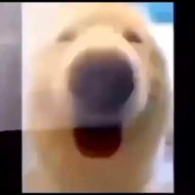 🤨