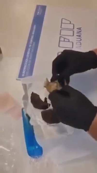 como pega el nuevo alfajor de Havanna