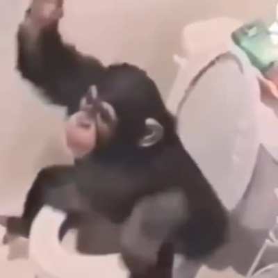 Mono baño