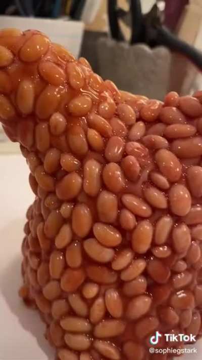 bean furby (credits to sophiegstark on tik tok)