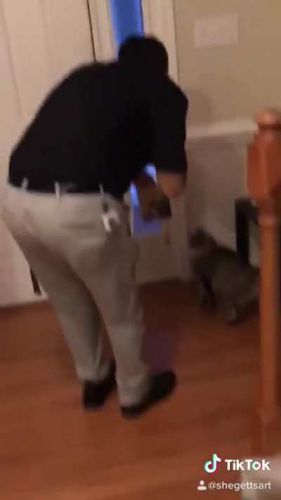 meow mix part 2 (original is my video and this is the same cat but a different dumb human)