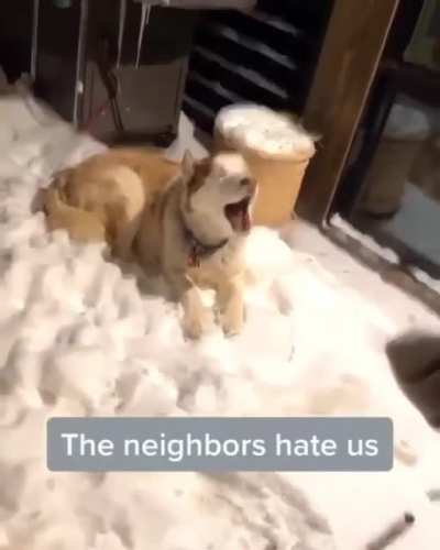 It is bedtime, let's go!