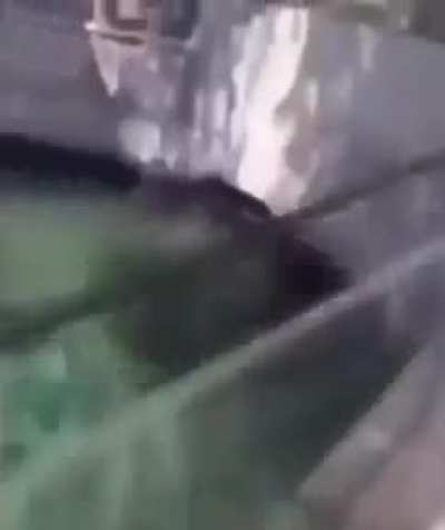 a perfectly cut moan