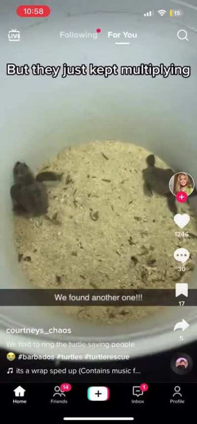 Is this against any laws? I’m shocked