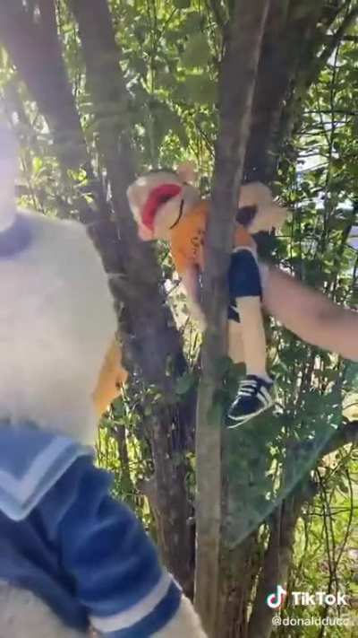 Donald Meets Jeffy!