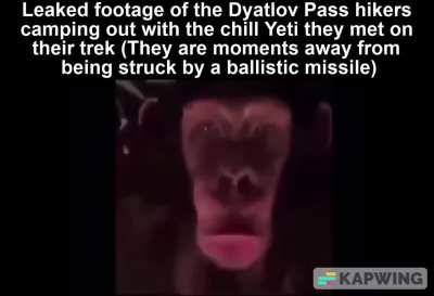Poor Yeti must've noticed the missile and started freaking out