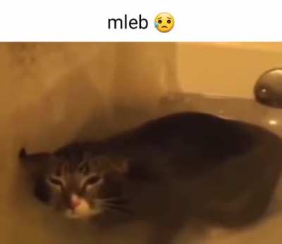Mleb