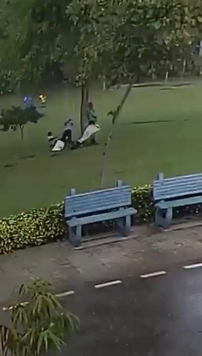 A group of people under a tree get struck by lightning
