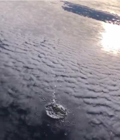 Don’t look down