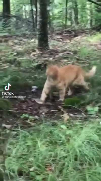 Aaah nature