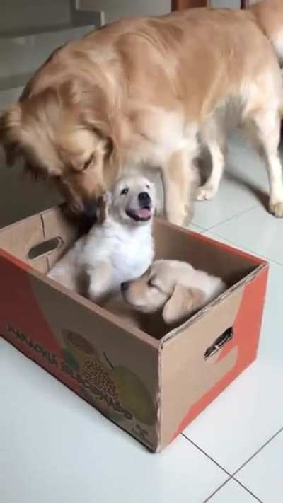Look at that smile!