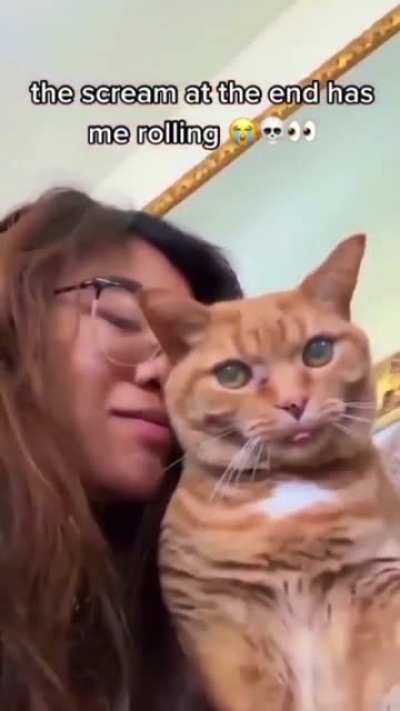 Cat doesn't like kisses