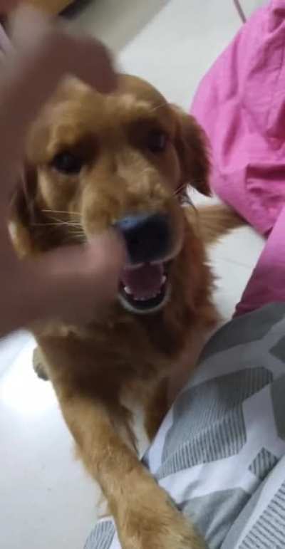 When you take the treats away