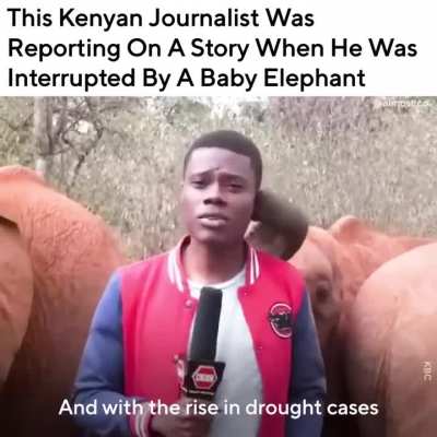 from Kenya with love