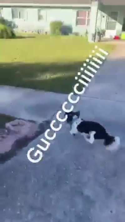 rule