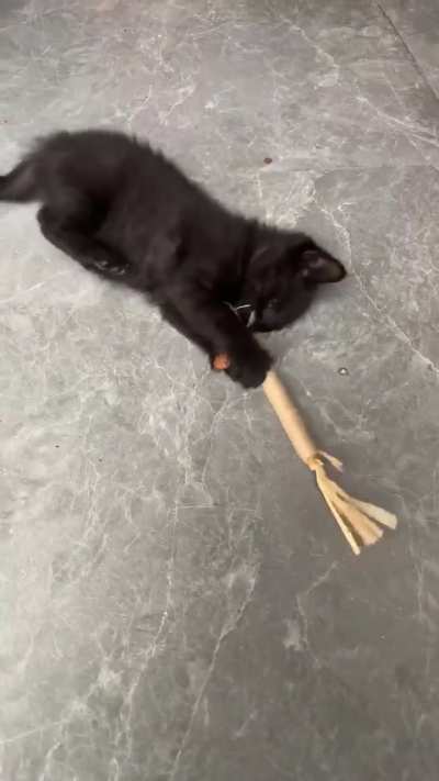 🐈‍⬛👅🪄