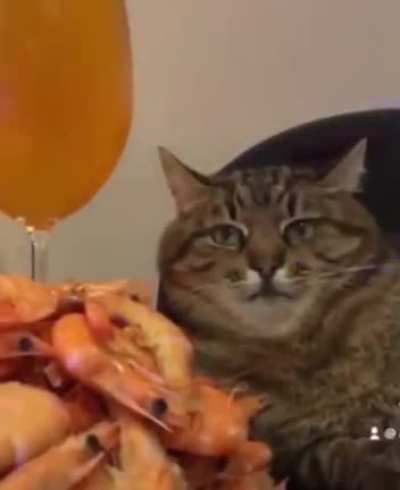 me_irl