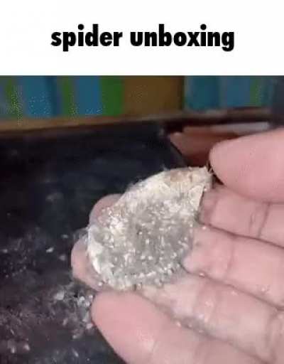 Ro