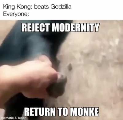 Back to Monke