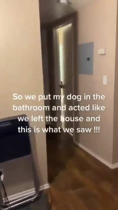 Run
