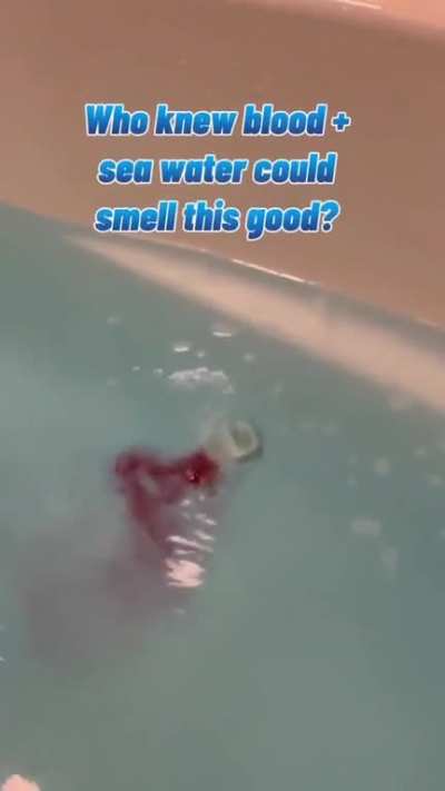 blursed_jaws