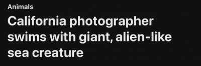 this is real