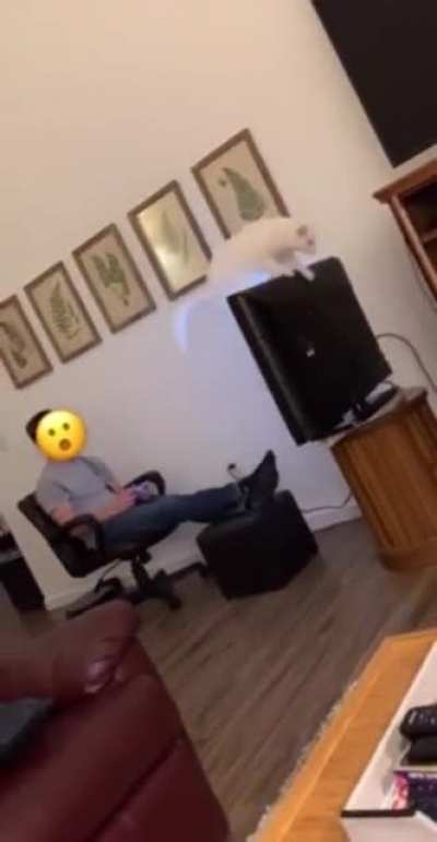 Maybe maybe maybe