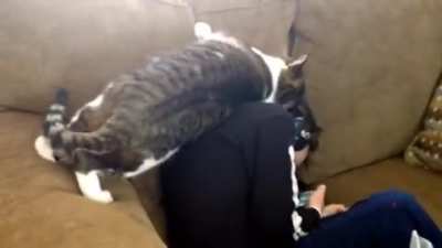 Play with me Kiddo