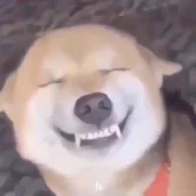 ASD