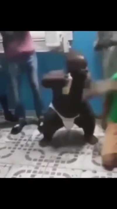 Little Dancing Person so funny Lol XD Lmao