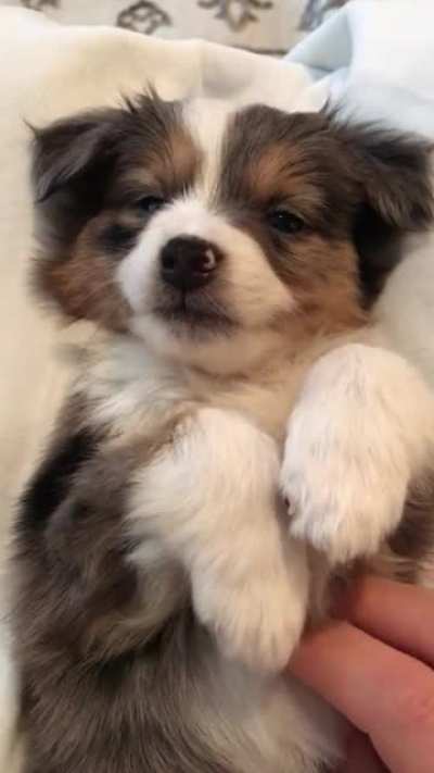 Немного милоты