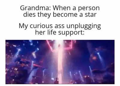 Curiosity killed the cat