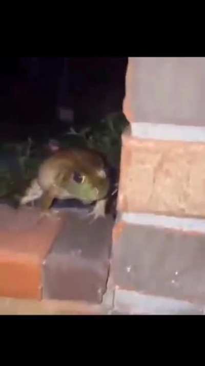 Don’t touch meee *boop* REEEEEEE
