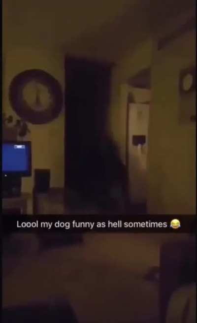What da dog doin (don't upvote this, upvote the original)