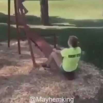 Wt-