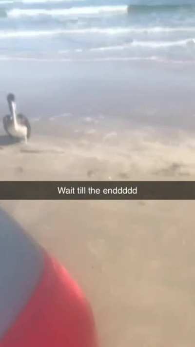 Happened to me this morning (last time video didn’t post)