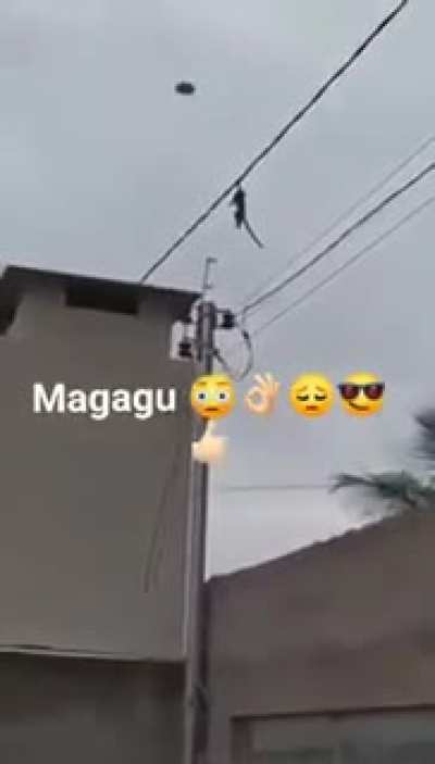 Grito perfeitamente cortado