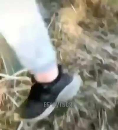 Hope this hasn't already been posted
