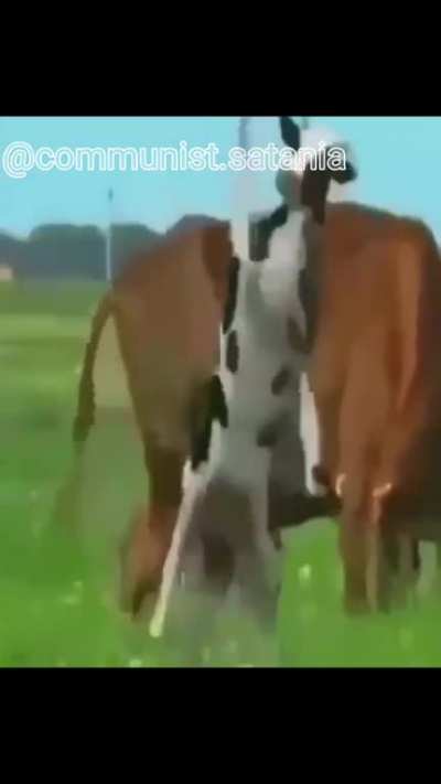 mmm tetas