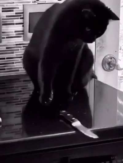 When the human just won't listen