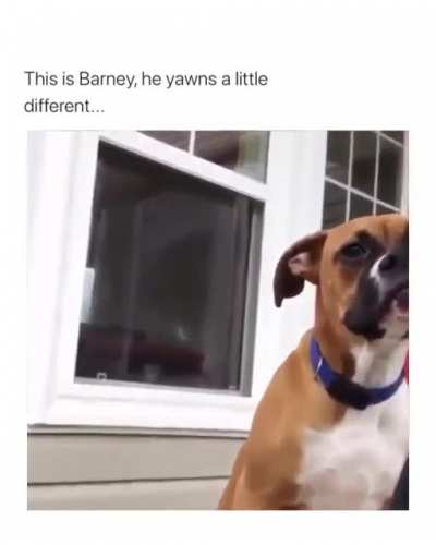 Barney ain't right