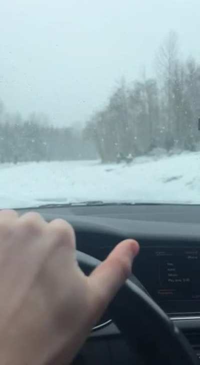 That’s a ditch